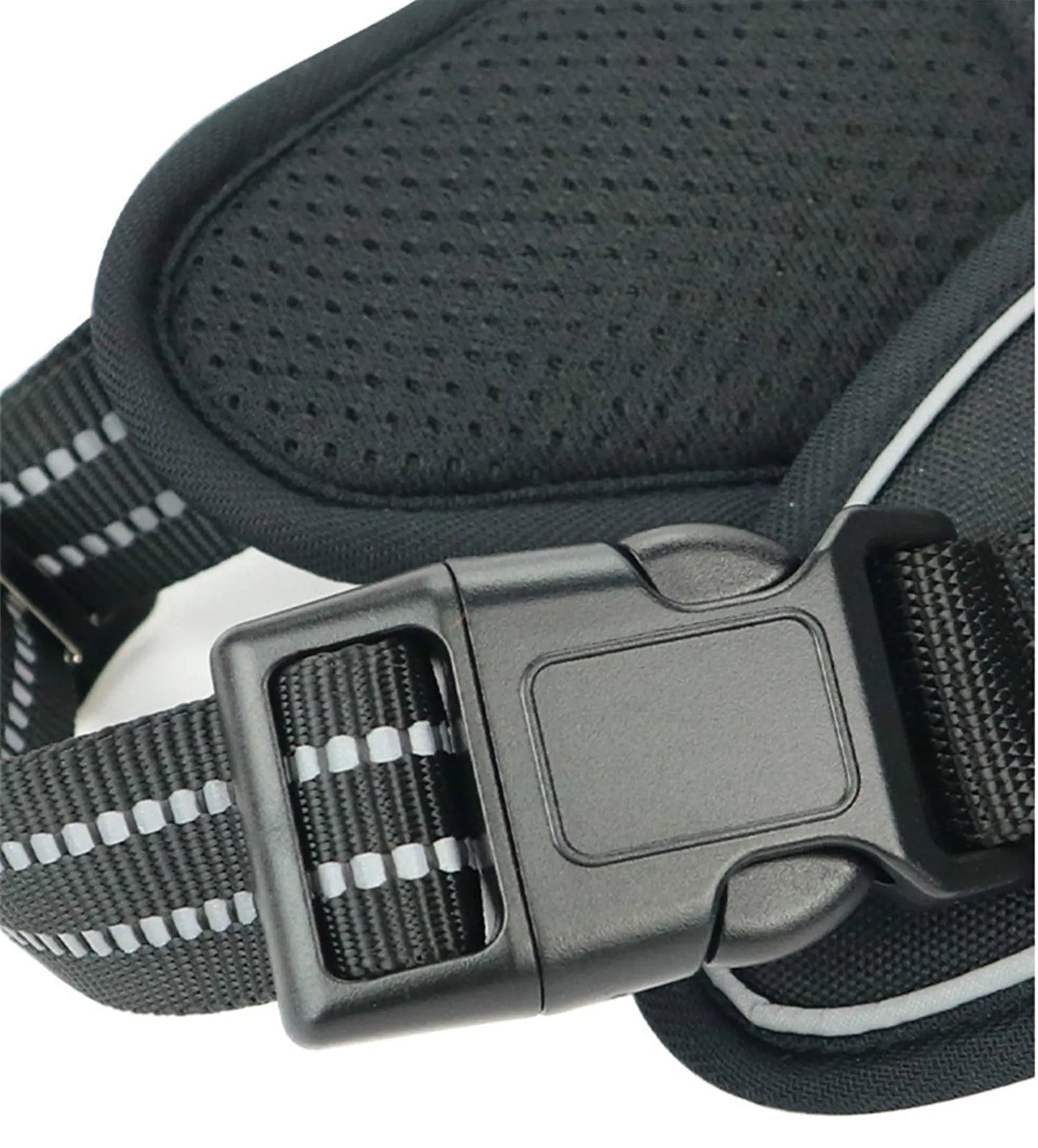 Pet harness