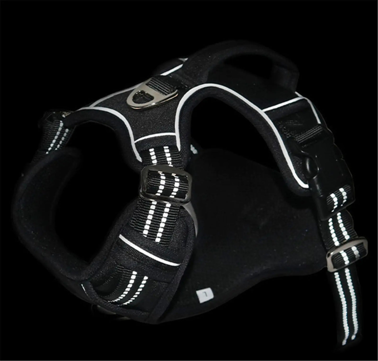 Pet harness