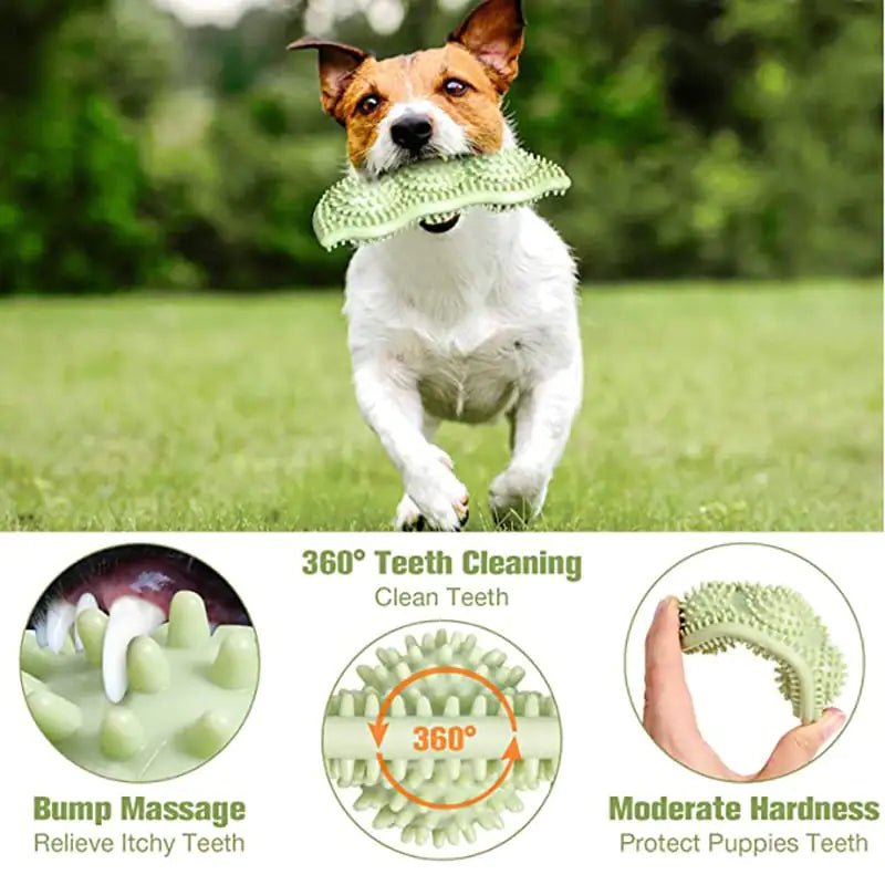 dog toy